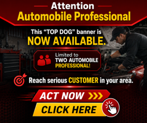 300px x 250px Top Dog Image